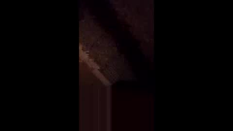 Snapshot of anniebunni chatting on February 16, 2026, 5:36 am anniebunni online show from February 16, 2026, 5:36 am