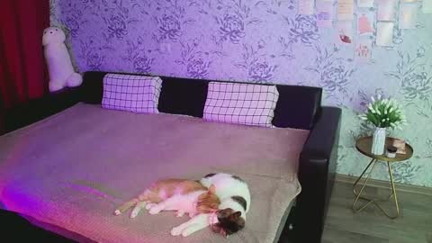 Annie online show from December 16, 2024, 4:23 am