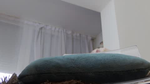 Anna online show from January 20, 2025, 10:07 am