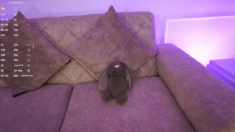 Ana online show from March 21, 2026, 12:10 pm