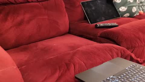 D online show from February 20, 2026, 12:05 pm