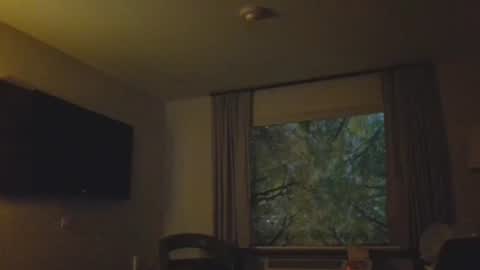 Daddy online show from November 8, 2025, 4:56 am