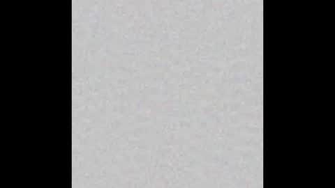 ap_couple online show from November 9, 2025, 7:56 pm