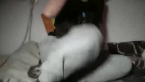 Snapshot of aphr0dite22 chatting on January 6, 2026, 3:16 pm aphr0dite22 online show from January 6, 2026, 3:16 pm