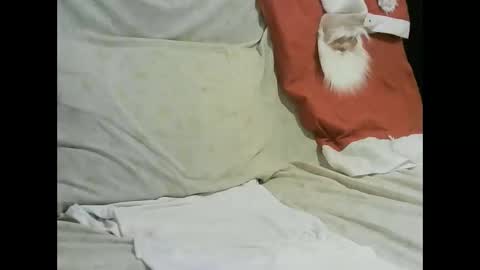 Snapshot of arabtrans2025 chatting on January 17, 2025, 7:27 pm arabtrans2025 online show from January 17, 2025, 7:27 pm