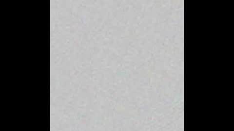 Arianna Collins online show from March 14, 2026, 11:15 am