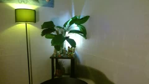 Your love arianna online show from February 16, 2025, 3:58 am