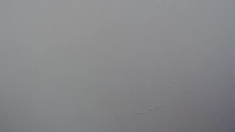 ariannaloovel online show from April 11, 2026, 6:01 pm