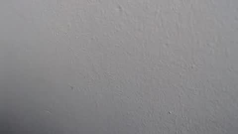 ariannaloovel online show from May 27, 2026, 3:09 pm