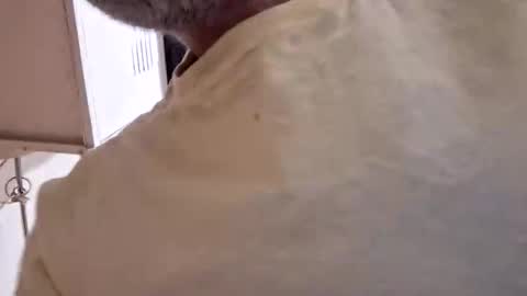 Snapshot of arielferdman chatting on October 28, 2025, 9:06 pm arielferdman online show from October 28, 2025, 9:06 pm