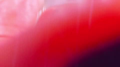 Snapshot of ariellablonde chatting on March 10, 2025, 12:40 am AriellaBlonde online show from March 10, 2025, 12:40 am