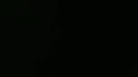 Ariel Starfish online show from March 8, 2026, 2:04 am