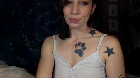 Snapshot of arielwyld chatting on December 11, 2024, 1:28 pm ariel colin when hes here online show from December 11, 2024, 1:28 pm