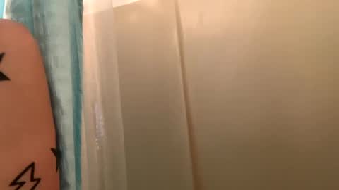 Snapshot of arielwyld chatting on January 6, 2025, 1:08 pm ariel colin when hes here online show from January 6, 2025, 1:08 pm