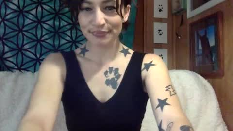 Snapshot of arielwyld chatting on February 23, 2025, 1:42 pm ariel colin when hes here online show from February 23, 2025, 1:42 pm