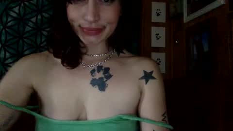 Snapshot of arielwyld chatting on March 6, 2025, 3:24 pm ariel colin when hes here online show from March 6, 2025, 3:24 pm