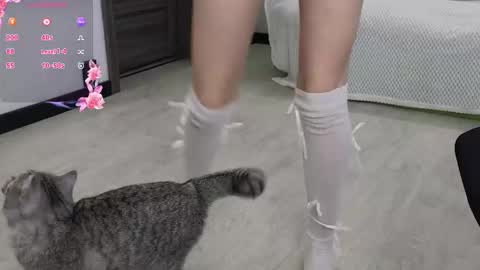 Ariadna online show from February 18, 2025, 4:37 am