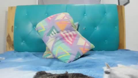 Snapshot of armanidark chatting on September 15, 2025, 2:11 am armanidark online show from September 15, 2025, 2:11 am