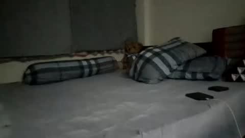 Snapshot of asianthai chatting on September 21, 2025, 9:27 pm asianthai online show from September 21, 2025, 9:27 pm