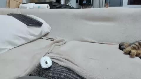 MARCO online show from December 2, 2025, 4:57 pm