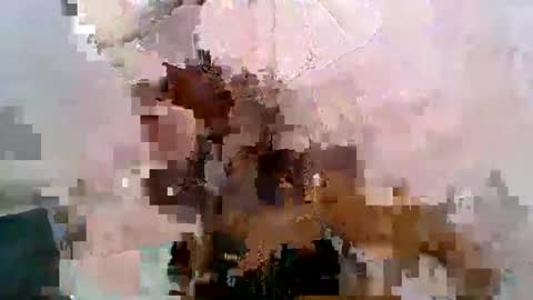 Snapshot of aurelia107 chatting on May 31, 2026, 3:08 pm aurelia107 online show from May 31, 2026, 3:08 pm