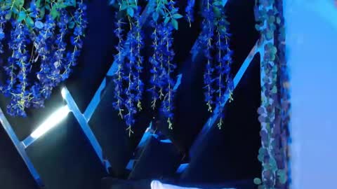 aurora online show from September 18, 2025, 2:19 pm