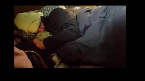 Senior Agua online show from December 4, 2024, 7:28 am