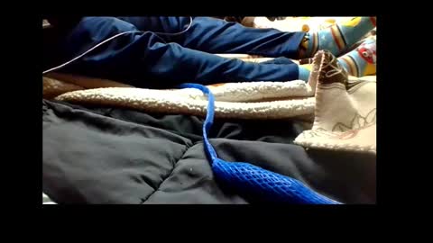 Senior Agua online show from December 4, 2024, 4:38 pm