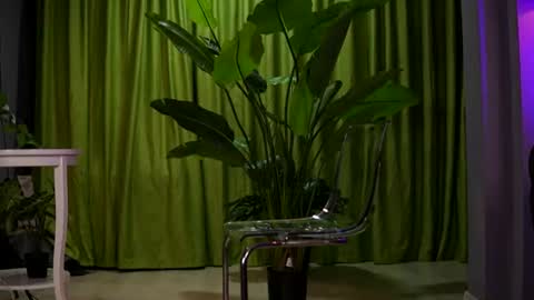 Snapshot of ava_solis chatting on August 2, 2026, 7:23 pm Ava online show from August 2, 2026, 7:23 pm