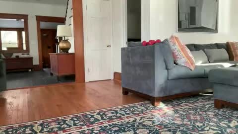 avgdiver online show from February 12, 2026, 8:59 pm