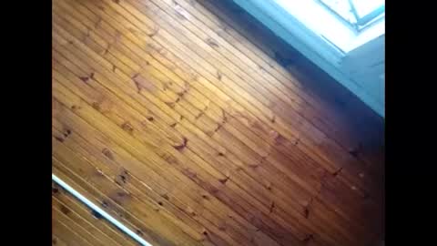 Snapshot of baby__p chatting on February 26, 2026, 9:30 am Baby P online show from February 26, 2026, 9:30 am