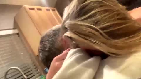 baby blues online show from January 10, 2025, 1:53 am