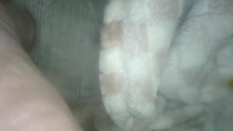 babyxxxangel online show from December 19, 2024, 5:40 am