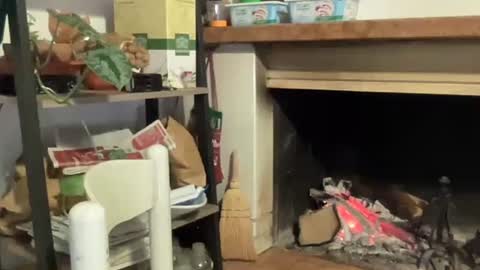 Snapshot of bach77 chatting on December 12, 2024, 6:53 pm bach online show from December 12, 2024, 6:53 pm