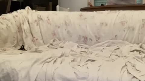 Snapshot of bach77 chatting on February 12, 2025, 4:44 pm bach online show from February 12, 2025, 4:44 pm