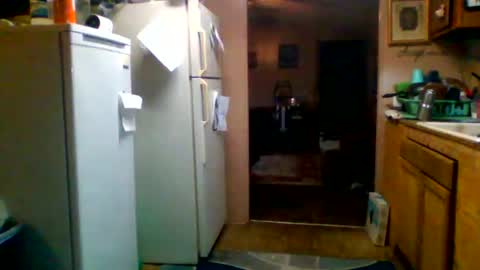 Badbitch520 online show from March 27, 2026, 10:37 am