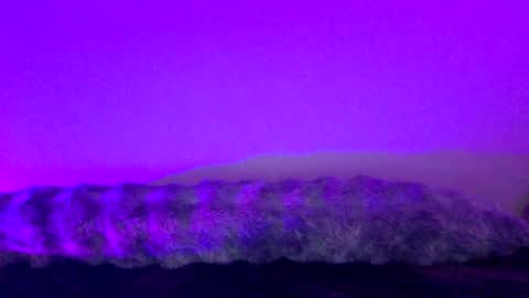 Snapshot of baddiejess618433 chatting on December 18, 2024, 5:26 am baddiejess618433 online show from December 18, 2024, 5:26 am