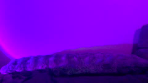 Snapshot of baddiejess618433 chatting on December 30, 2024, 5:26 am baddiejess618433 online show from December 30, 2024, 5:26 am