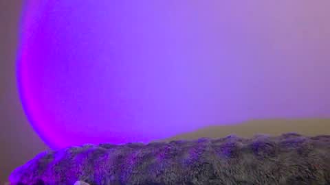 Snapshot of baddiejess618433 chatting on December 31, 2024, 4:06 am baddiejess618433 online show from December 31, 2024, 4:06 am