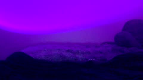 Snapshot of baddiejess618433 chatting on January 5, 2025, 6:02 am baddiejess618433 online show from January 5, 2025, 6:02 am