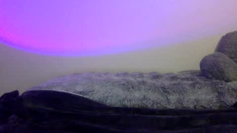 Snapshot of baddiejess618433 chatting on January 5, 2025, 8:10 pm baddiejess618433 online show from January 5, 2025, 8:10 pm