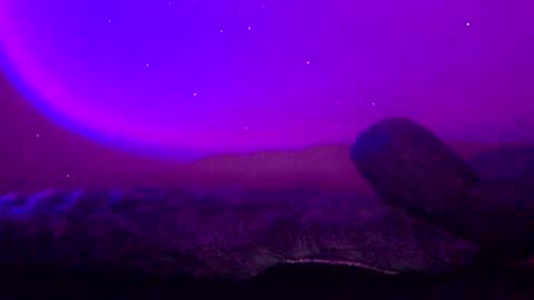 Snapshot of baddiejess618433 chatting on January 11, 2025, 3:44 am baddiejess618433 online show from January 11, 2025, 3:44 am