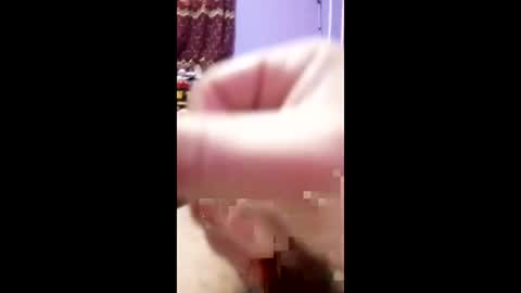 bahaa5555 online show from April 3, 2026, 3:32 pm