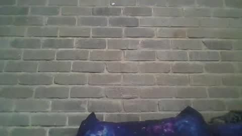 Snapshot of baielekker81578 chatting on February 9, 2025, 1:25 pm Chaterlain online show from February 9, 2025, 1:25 pm