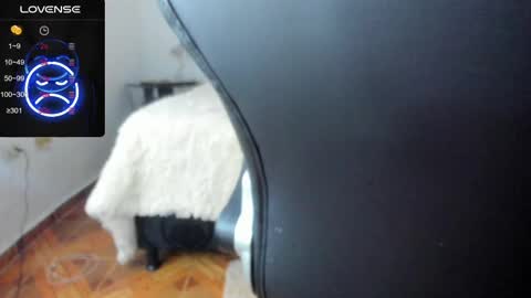 IM BAILEY online show from February 17, 2025, 5:47 am