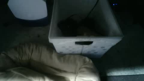 boton online show from November 10, 2025, 9:19 am