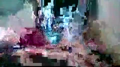 bamacpl80 online show from February 26, 2026, 7:35 pm