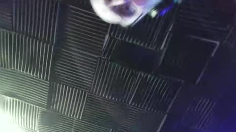 BANJOEY online show from April 18, 2026, 5:55 am