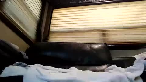 baobabtree8 online show from February 26, 2025, 2:14 pm