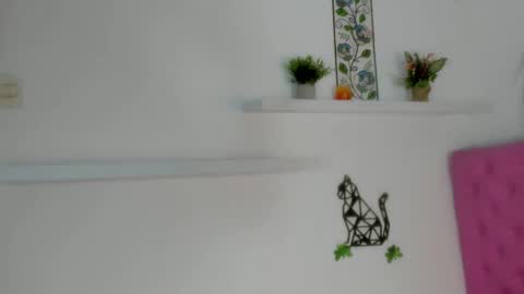 Barbie Hills online show from November 20, 2025, 7:24 pm